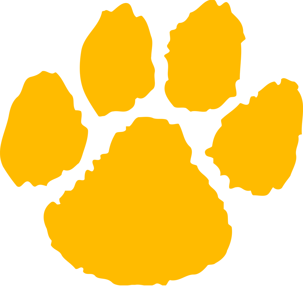 Northern Michigan Wildcats 0-Pres Alternate Logo diy iron on heat transfer
